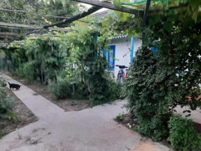 Casa de vacanta Alexe